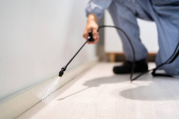Licensed Termite Control service in Mio, MI - Nex Pest Control