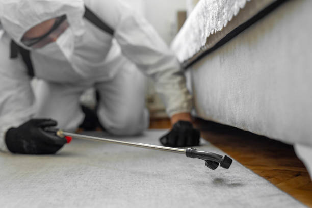 Professional Termite Control technician working in Mio, MI