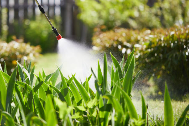 24/7 Emergency Termite Control experts in Mio, MI