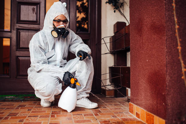 Reliable Termite Control contractor in Mio, MI by Nex Pest Control