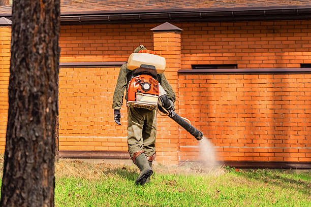 Top rated local Termite Control specialists in Mio, MI